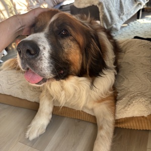 Fundraising Page: Kaitlin Spring